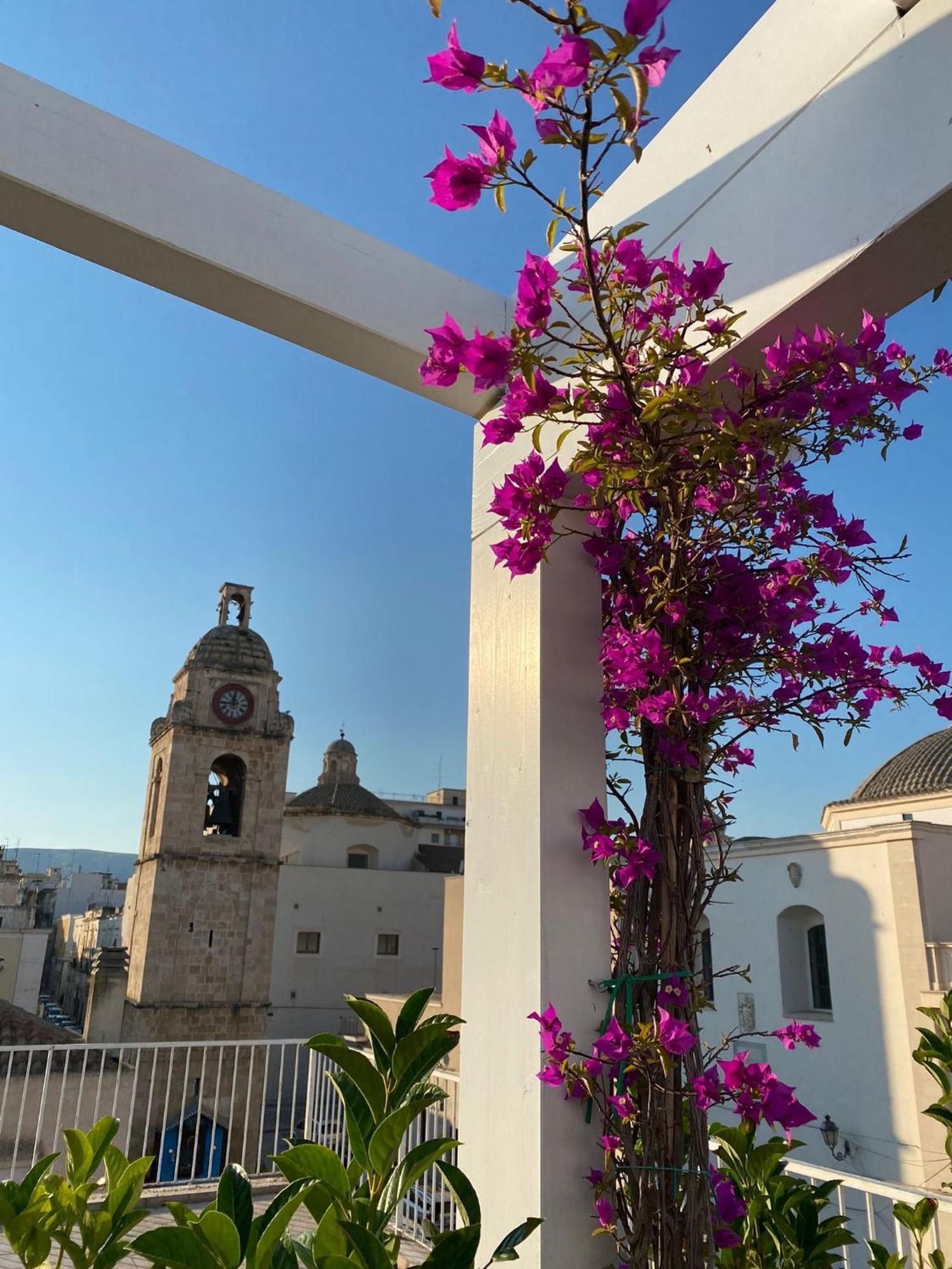 Aduepassi Apartment Manfredonia